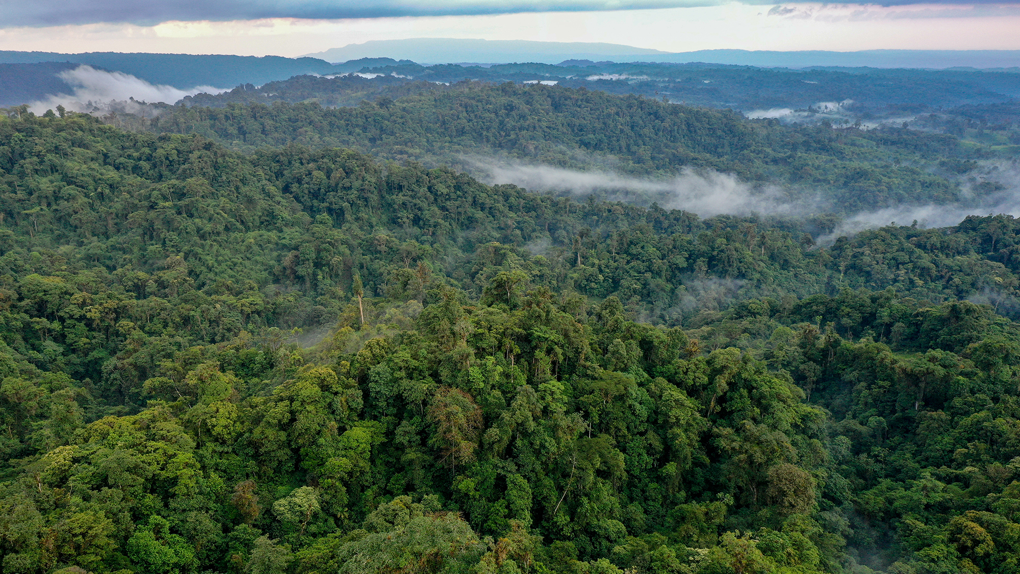 Casa Narupa - Narupa Reserve